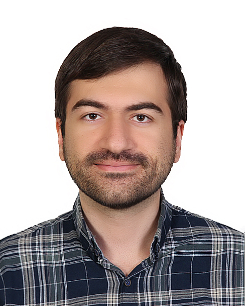 دکتر سید محمدامیر دستغیب